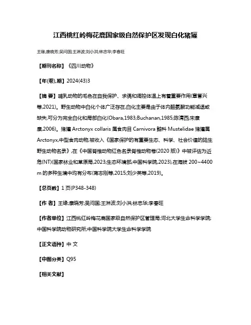 江西桃红岭梅花鹿国家级自然保护区发现白化猪獾