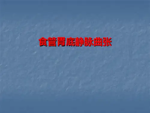 食管胃底静脉曲张PPT课件
