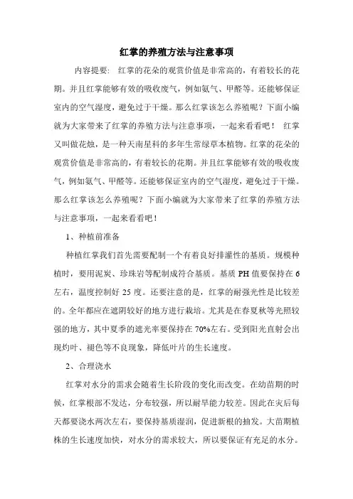 红掌的养殖方法与注意事项.doc