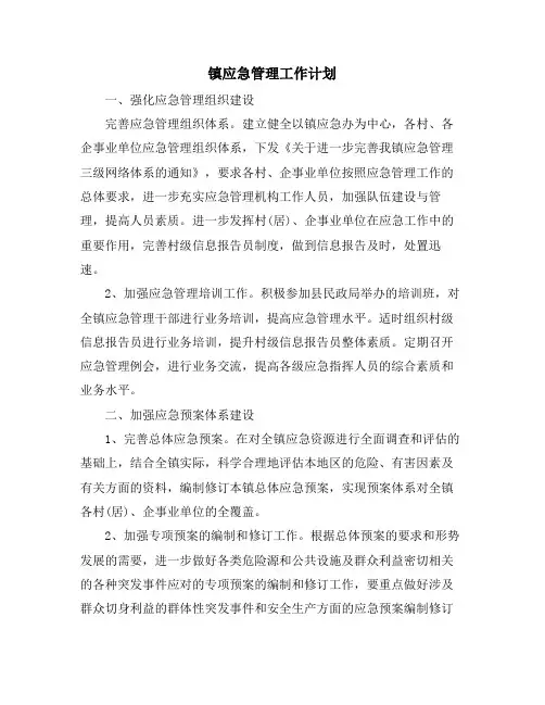 镇应急管理工作计划