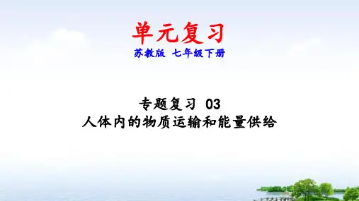 单元复习 人体内的物质运输和能量供给(复习课件)-七年级生物下册单元复习(苏教版)