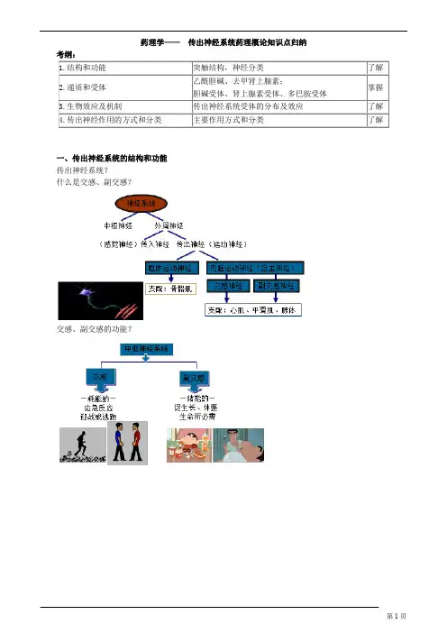 药理学—— 传出神经系统药理概论知识点归纳