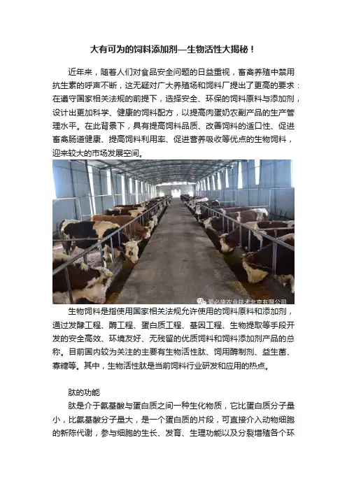 大有可为的饲料添加剂—生物活性大揭秘！
