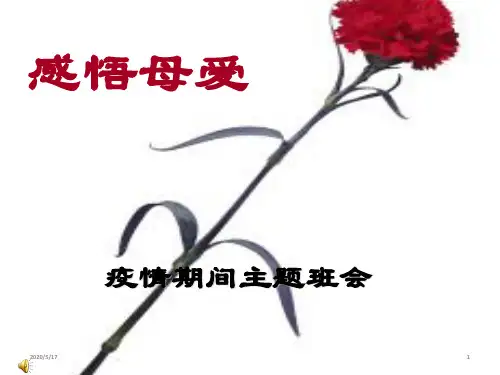 班会课件-感恩母爱  (共26张ppt)