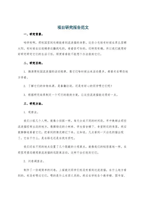 项目研究报告范文
