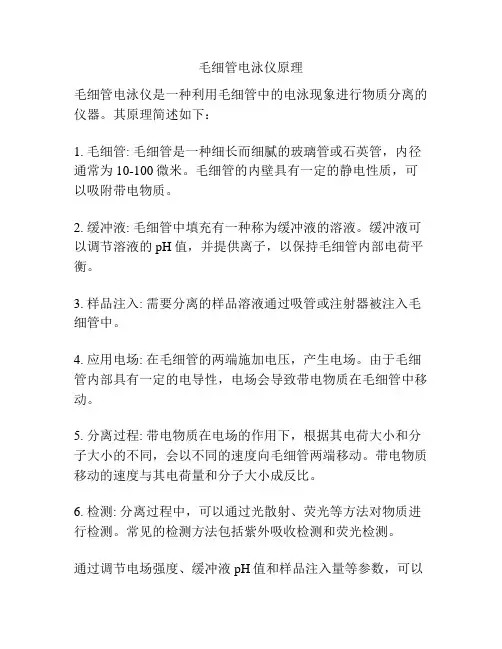 毛细管电泳仪原理