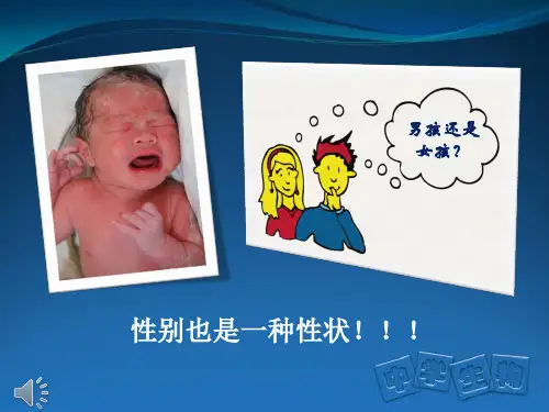初中生物北京版八年级上册 第十一章第三节 人类的遗传 课件 (共18张PPT)
