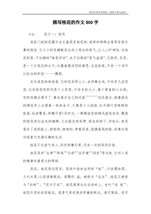 描写桂花的作文800字_1