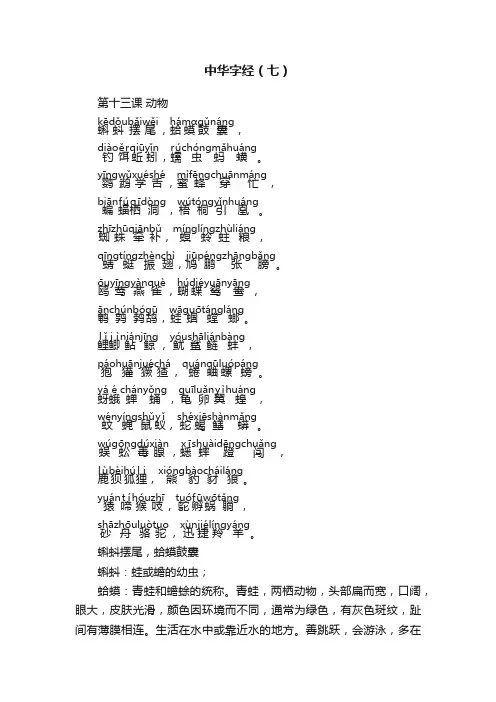 中华字经（七）