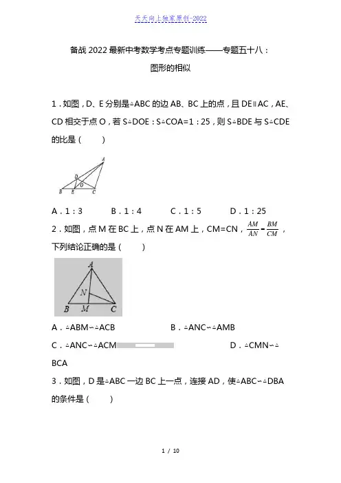 2022年九年级中考数学考点专题训练——专题五十八：图形的相似(含答案)
