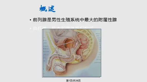MRI波谱成像在前列腺癌诊断中的应用PPT课件
