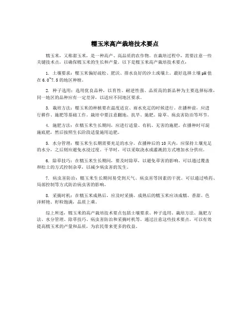 糯玉米高产栽培技术要点