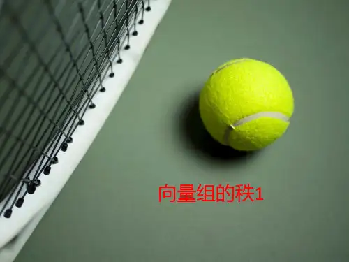 向量组的秩1