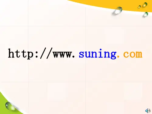 苏宁易购营销方案ppt展示