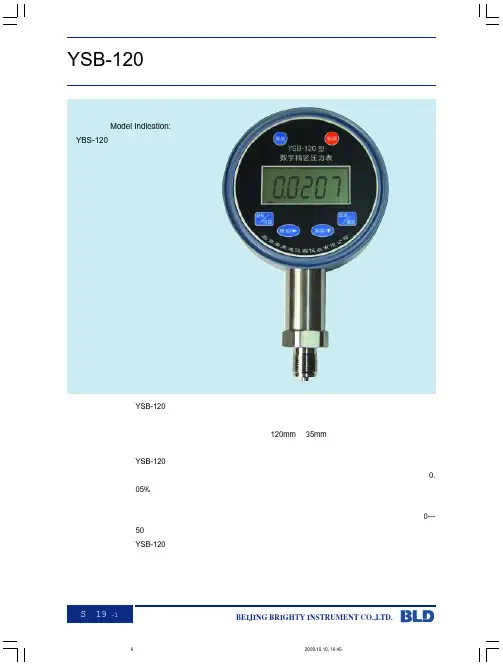 YSB-120数字精密压力表使用说明书