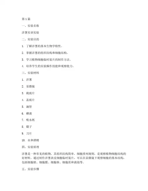 洋葱实训实验报告(3篇)