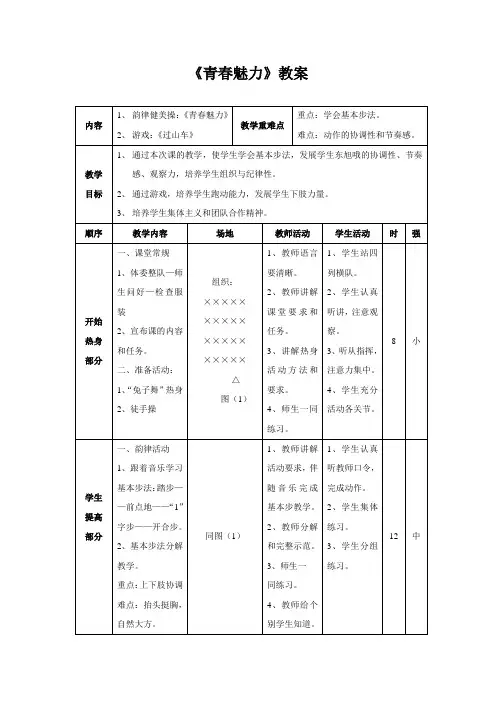《青春魅力》教案