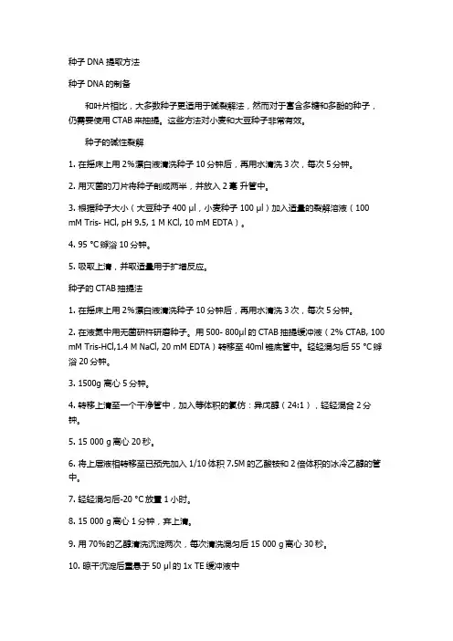 种子DNA 提取方法