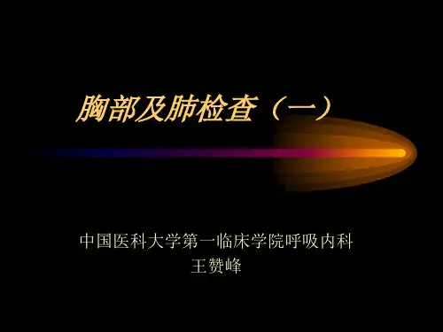 胸部查体
