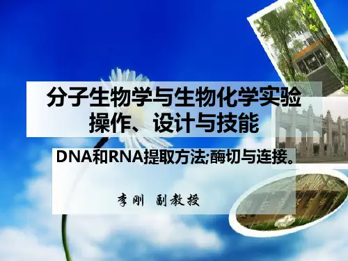分子生物学实验操作方法与技巧(3)