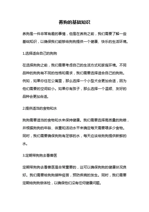 养狗的基础知识