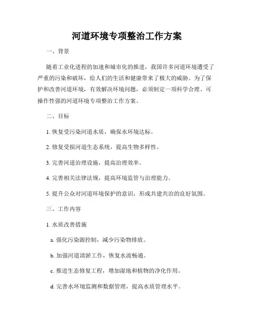河道环境专项整治工作方案