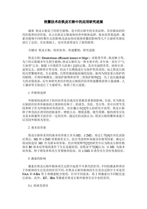 快繁技术在铁皮石斛中的应用研究进展