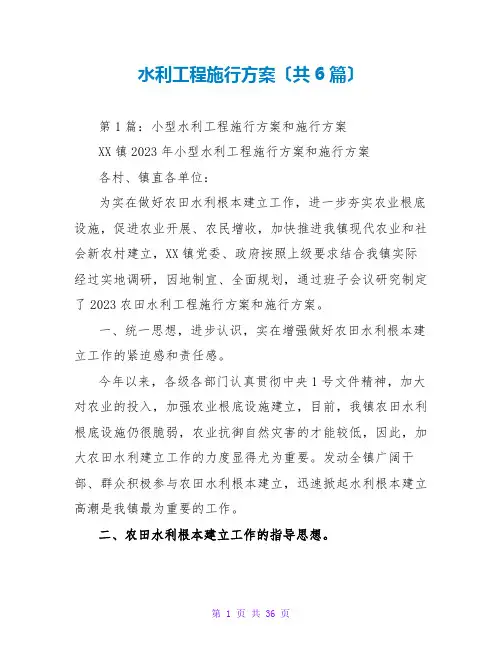 水利工程实施方案(共6篇)
