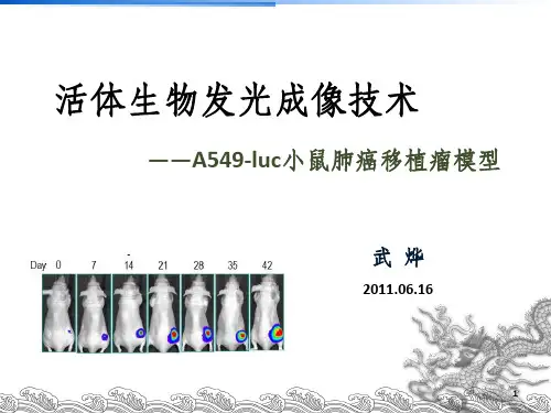 活体生物发光成像技术ppt课件