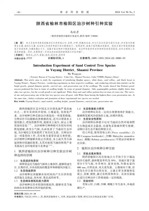 陕西省榆林市榆阳区治沙树种引种实验