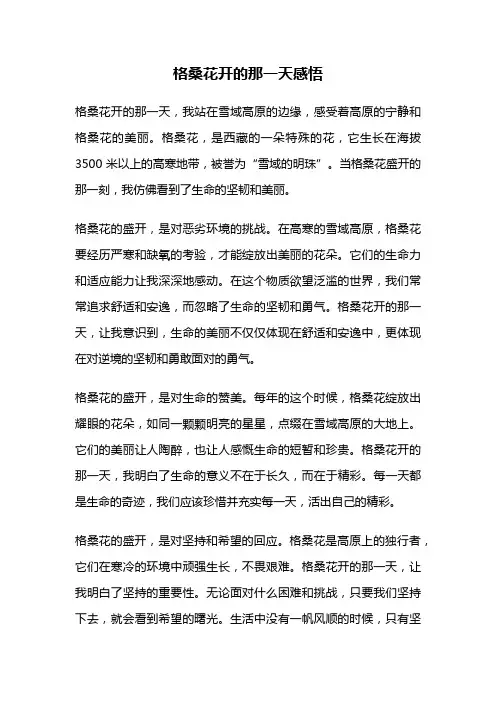 格桑花开的那一天感悟