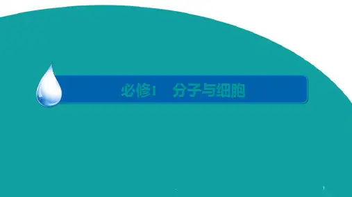 一轮复习人教版酶和ATPPPT课件