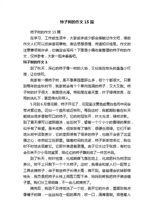 柿子树的作文15篇