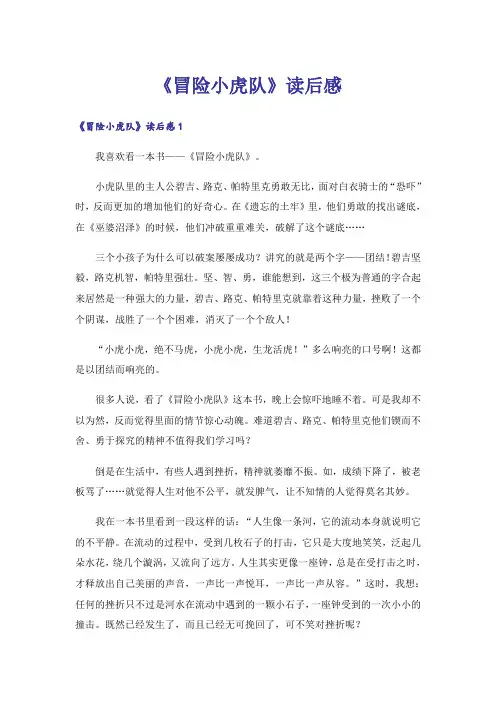 《冒险小虎队》读后感