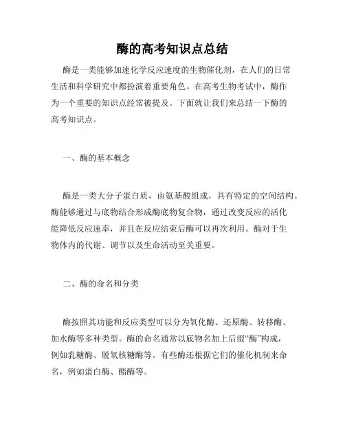 酶的高考知识点总结