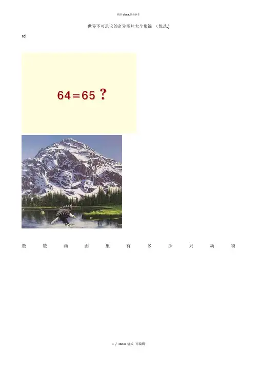 世界不可思议的奇异图片大全集锦 甄选