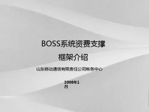 中国移动BOSS系统资费管理概括