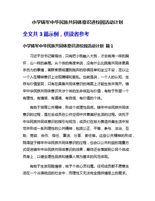 小学铸牢中华民族共同体意识进校园活动计划