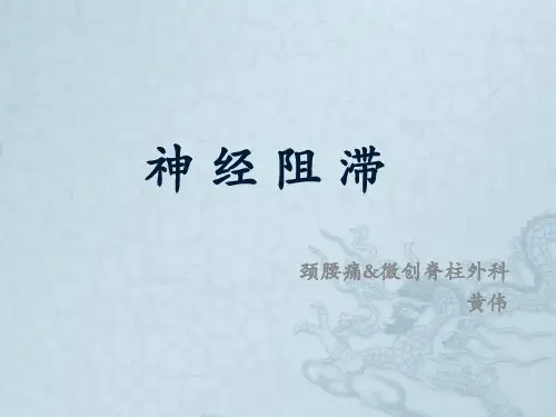神经阻滞PPT课件