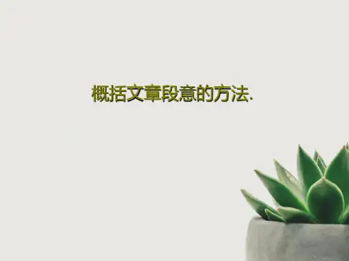 概括文章段意的方法.PPT文档28页