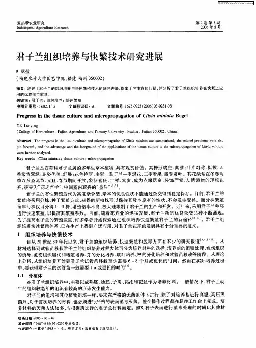 君子兰组织培养与快繁技术研究进展