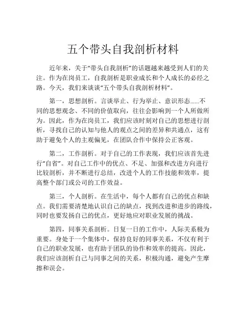 五个带头自我剖析材料