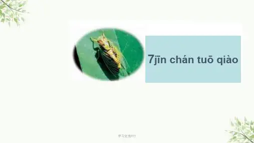 金蝉脱壳课件