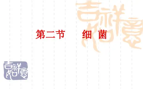 初中八年级上册生物《细菌》课件