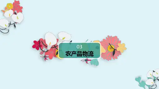 农产品物流  ppt课件