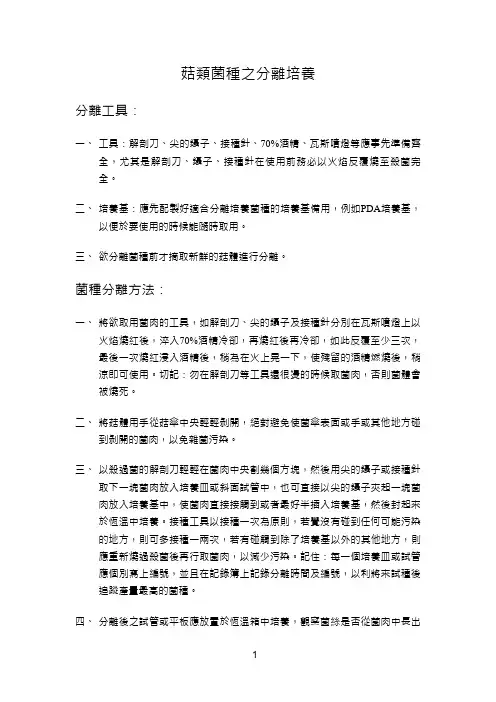 菇类菌种之分离培养