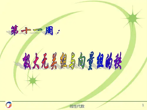 极大无关组与向量组的秩