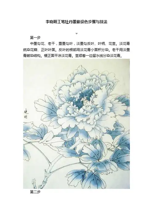 李晓明工笔牡丹墨紫设色步骤与技法