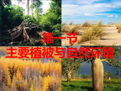 湘教版必修1第五章主要植被与自然环境
