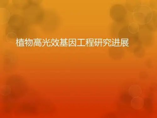 植物高光效基因工程研究进展 (2)